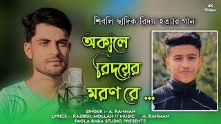 হৃদয়ের মাবাবার আবেগ এর গান  Hridoyer Maa Babar Abeg  হৃদয় কে জবাই করার কাহিনী PAGLA BABA STUDIO [upl. by Pani]