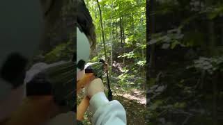 Norinco Type81 762 gunsounds range shoot [upl. by Celine]