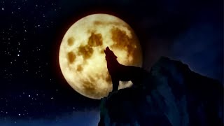 Wolf Howling at the Moon Sound Nature Landscape  Black Wolf Howling at the Full Moon [upl. by Angela]