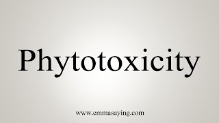 How To Say Phytotoxicity [upl. by Dine224]