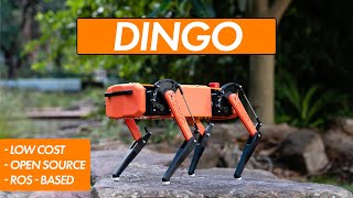 The Dingo  A Low Cost OpenSource Robot Quadruped [upl. by Rafaello]