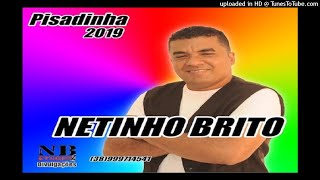 NETINHO BRITO CD PISADINHA 2019 [upl. by Tnilk]