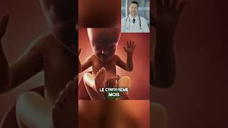 L’évolution en 9 mois du bébé pendant la grossesse 👶 bebe foetus grossesse enceinte futureme [upl. by Amles295]