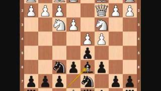 Chess Openings  Semi Slav [upl. by Lairret]