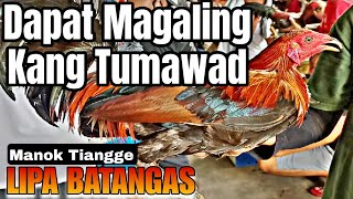 DISKARTE lang para makapili ng maayos na manok l LIPA BATANGAS [upl. by Anerys76]