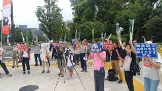 20180902 0902国会前で九条ねぎを振りかざすデモ [upl. by Ajtak73]