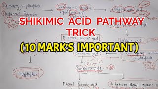 Shikimic acid pathway trick  Pharma lectures [upl. by Ehtyaf274]