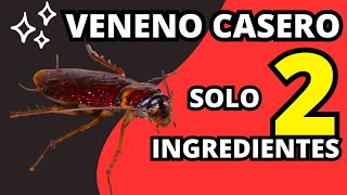 Receta de VENENO CASERO PARA CUCARACHAS con solo 2 Ingredientes [upl. by Ahsenor]