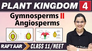 Plant and Kingdom 04  Gymnosperms l Angiosperms  Class 11NEET  RAFTAAR [upl. by Inan]