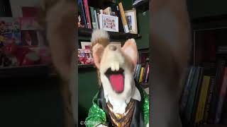 My new message from Basil Brush [upl. by Eanel]