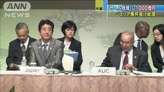 TICAD 日本 アフリカの治安維持に1000億円支援へ130602 [upl. by Atteuqcaj630]