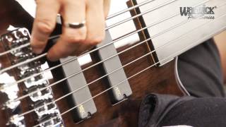 The Pro Series Streamer LX 6String Fretless  with Andy Irvine [upl. by Nimajeb847]