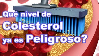 SP 🩸 ¿LDL vs HDL Conoce la diferencia Colesterol explicado ⚖️ [upl. by O'Donnell]