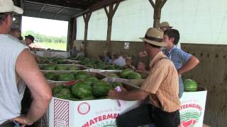 Produce Auction In Lancaster County [upl. by Madai302]