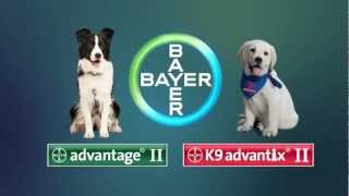 Bayer Advantage II and K9 Advantix demo video for dogs [upl. by Keli]