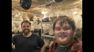 How This Small Mushroom Farm Yields 270 Lbs  A Week [upl. by Nired579]