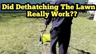 This Is Why You Should Dethatch Your Lawn Results From Spring Dethatching and Overseeding [upl. by Naylor]