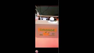 Manoy Ed Tv is live GOOD MORNING PLAYING MY ORANGE BOX COIN WITH MY FRIEND CAT trending viral [upl. by Mastic951]