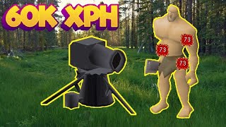 The New Best Cannon Spot for LOW HP PuresHill Giants OSRS [upl. by Swirsky569]