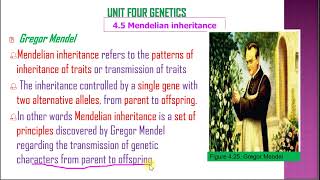 11ኛ ክፍል ባዮሎጂ በአማርኛ Grade 11 Biology Unit four Part 9 [upl. by Eisenstark]