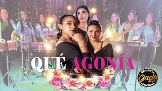 GAELA SON  QUE AGONIA  SALSA  COVER AUDIO [upl. by Hartzell]