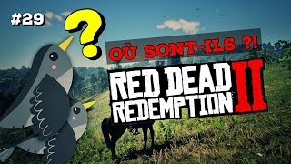 29 MERLE  OÙ LES CHASSER  RED DEAD REDEMPTION 2 [upl. by Rockwood]