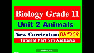 New Curriculum Biology Grade 11 Unit 2 Animals Tutorial Part 6 in Amharic [upl. by Vyse]