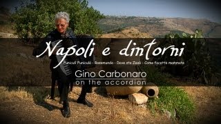 Napoli e dintorni  Gino Carbonaro  Carneval [upl. by Tnomel]