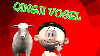 QINGJI VOGEL  Kenge per femije Shqip  Little Lamb song for children  Macoku TV [upl. by Nyer]