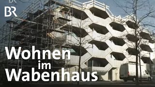 Wohnen wie im Bienenstock Das Münchner Wabenhaus  Schwaben  Altbayern  BR [upl. by Elagibba]