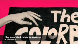 The Colorblind James Experience  A Different Bob [upl. by Anaujal]