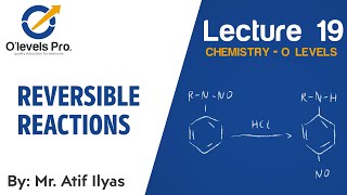 Chemistry Lec 19  Reversible Reactions  O Levels Pro [upl. by Neruat]