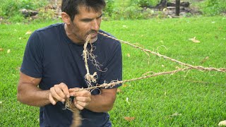 How to make BARK ROPE from a tree [upl. by Poppy]