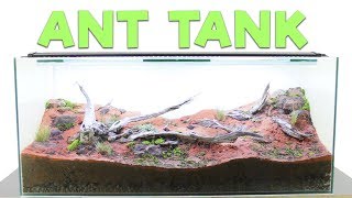 How to Build an Ant Farm  Natural Formicarium [upl. by Julio152]