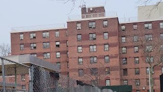 Hammels walk thru forgot I had this farrockaway queens stackbundles nyc nycha hood farrock [upl. by Rhoades]