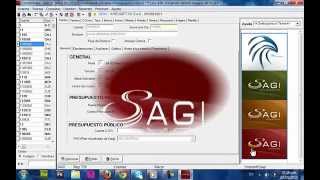 SAGI Contabilidad DEMO [upl. by Rebmeced]