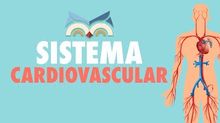 Sistema Cardiovascular  Toda Matéria [upl. by Olive]