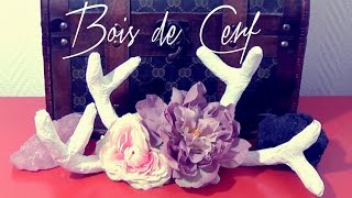 DIY  Bois de cerf  Antler┆Alyssia [upl. by Marco]