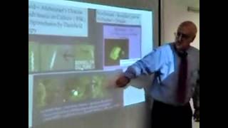 Alzheimer Borreliosis Lecture London June 4 2014 [upl. by Airom250]