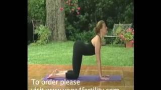 Yoga 4 Fertility with Brenda Strong [upl. by Chaddie]