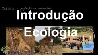 Introdução Ecologia  Ecologia  Biologia  Khan Academy [upl. by Gentes]