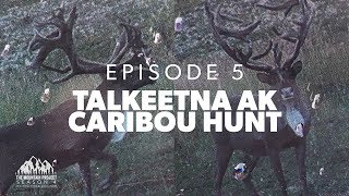 A GIANT CARIBOU  Ep 5  Caribou Hunting in Alaska [upl. by Newbold766]