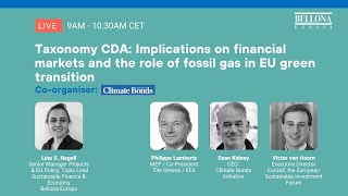 Taxonomy CDA Implications on financial markets and the role of fossil gas in EU green transition [upl. by Hoffer]