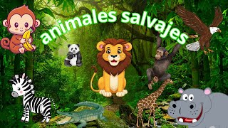 ANIMALES SALVAJES PARA NIÑOS  CON SONIDO [upl. by Enirak61]