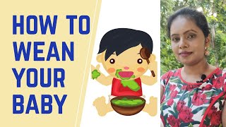 How to wean your baby  What is weaning  Basics of weaning  Dr Seema Medhe  NutraLife [upl. by Ferino176]