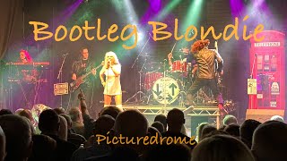 Bootleg Blondie Holmfirth Picturedrome 18th November 2023 [upl. by Netsrek]