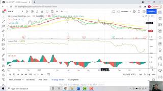 Technical Analysis of GreenLane Holdings GNLN [upl. by Noxid261]