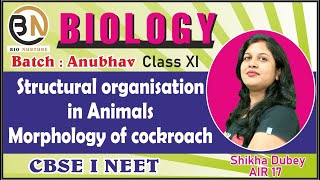 STRUCTURAL ORGANISATION IN ANIMALSMORPHOLOGY OF COCKROACH CLASS XI BIOLOGY NEET 2025 ANUBHAV [upl. by Broder]