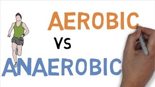 AEROBIC vs ANAEROBIC DIFFERENCE [upl. by Moorish223]