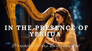 Prophetic Warfare Harp Instrumental WorshipIN THE PRESENCE OF YESHUA [upl. by Meter]